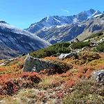 Neuner Charlotte Incl Pitztal Sommercard *