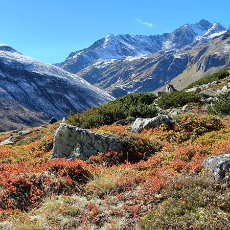 Neuner Charlotte Incl Skidepot An Der Hochzeigerbahn *