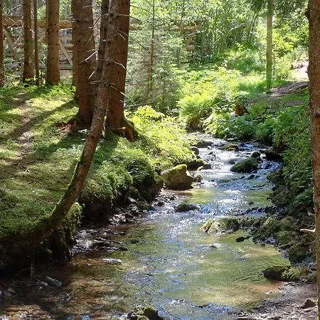 Neuner Charlotte Incl Skidepot An Der Hochzeigerbahn Apartamento Wenns