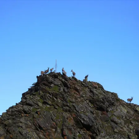 Apartamento Neuner Charlotte Incl Skidepot An Der Hochzeigerbahn