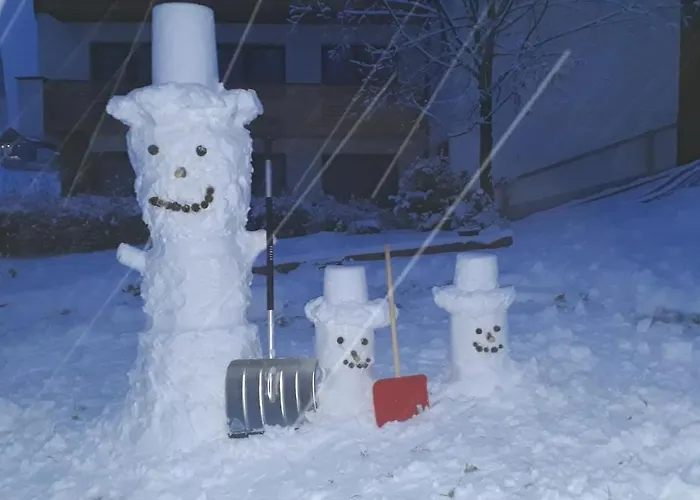 Apartman Neuner Charlotte Incl Skidepot An Der Hochzeigerbahn *