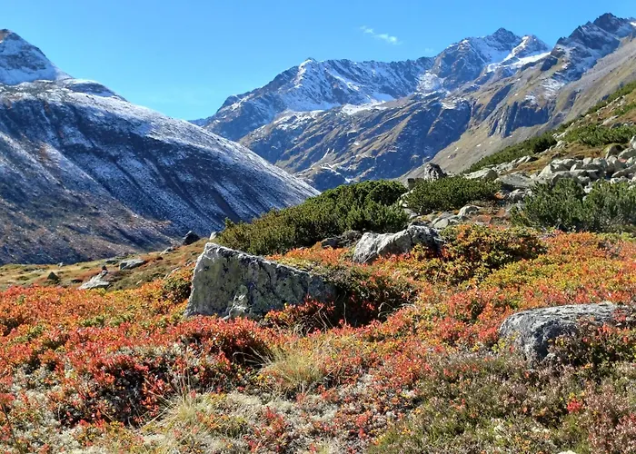 Neuner Charlotte Incl Skidepot An Der Hochzeigerbahn *