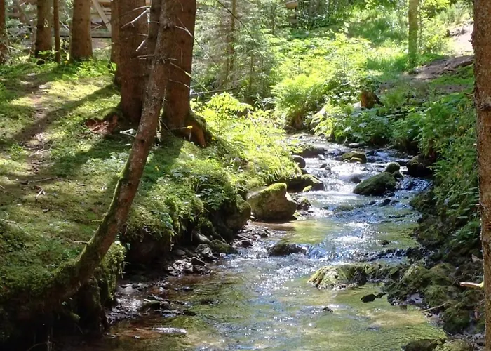 Neuner Charlotte Incl Skidepot An Der Hochzeigerbahn Apartman Wenns