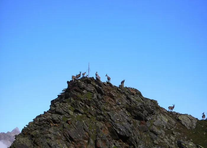 Apartman Neuner Charlotte Incl Skidepot An Der Hochzeigerbahn