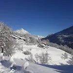 Appartement Neuner Charlotte Incl Skidepot An Der Hochzeigerbahn